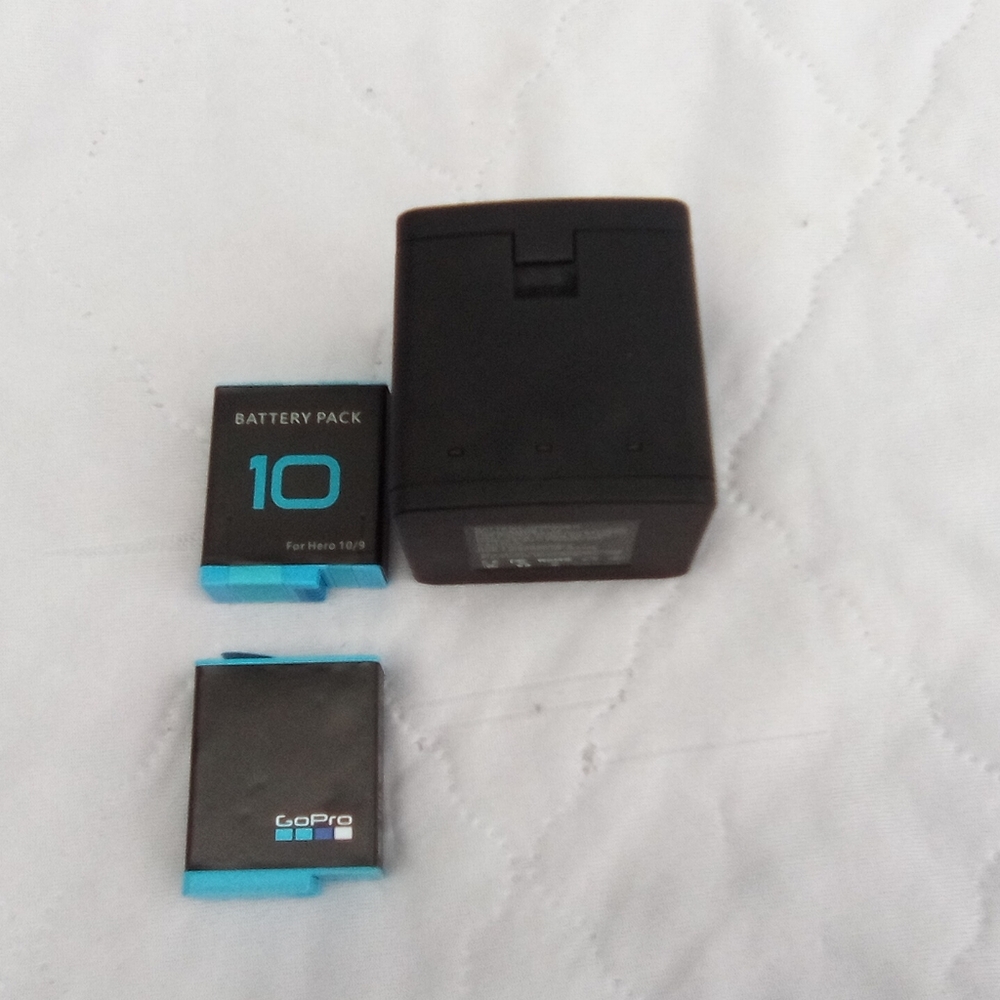 GoPro Battery and Charger Set